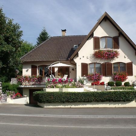 Maison D'Hotes Chez Nicole Elsenheim Zewnętrze zdjęcie